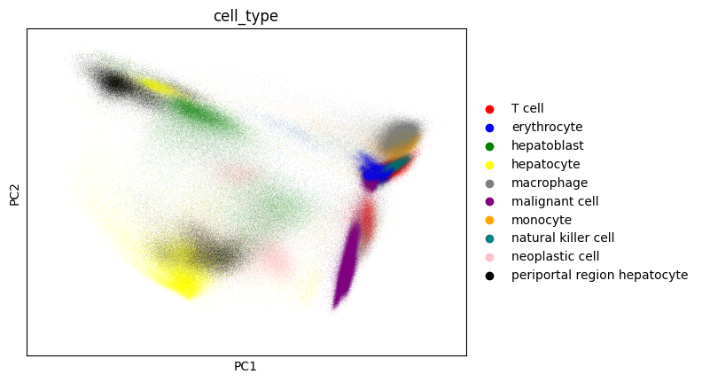 ../_images/notebooks_tutorial_scanpy_pca_dask_25_1.png